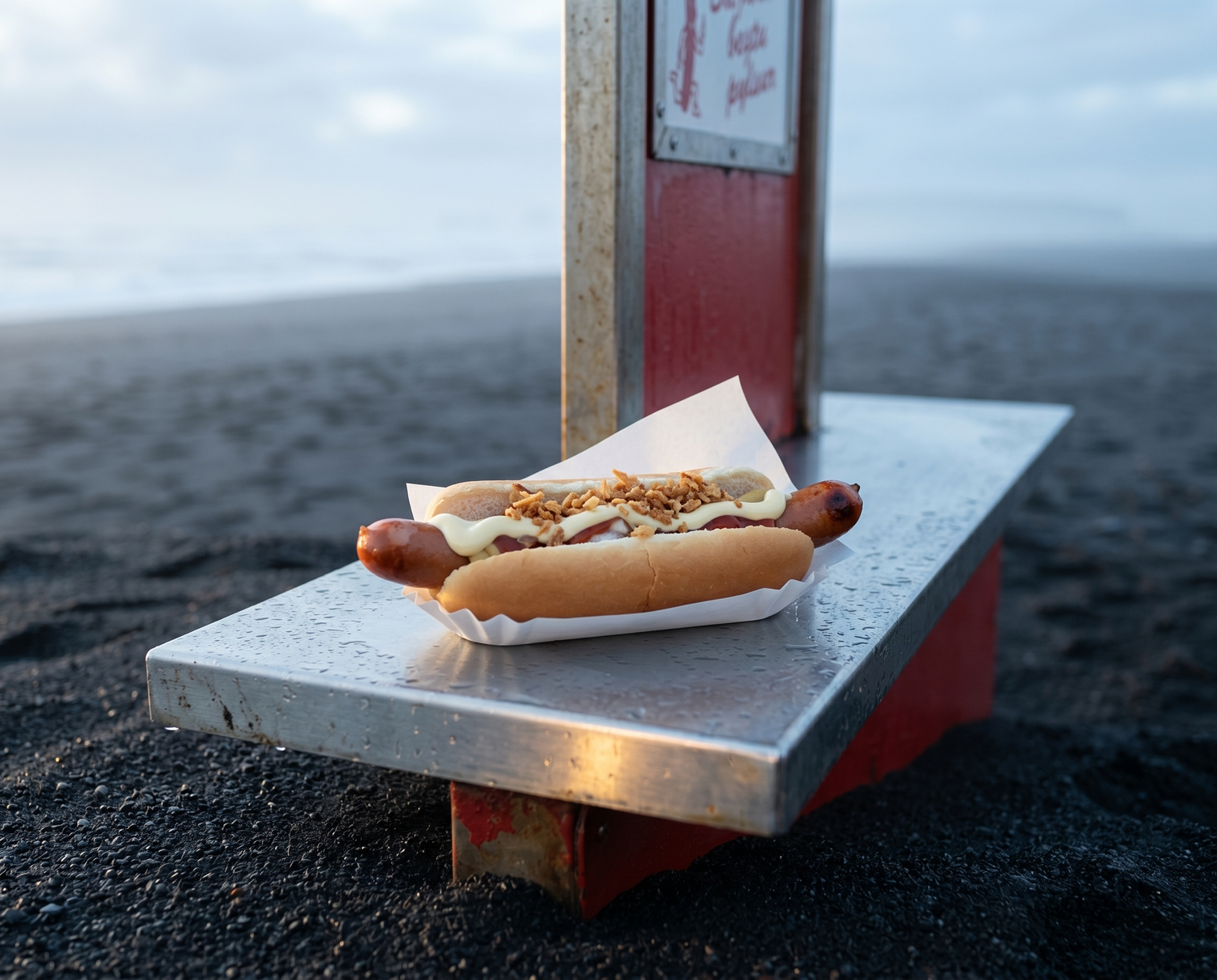 The Icelandic Hot Dog