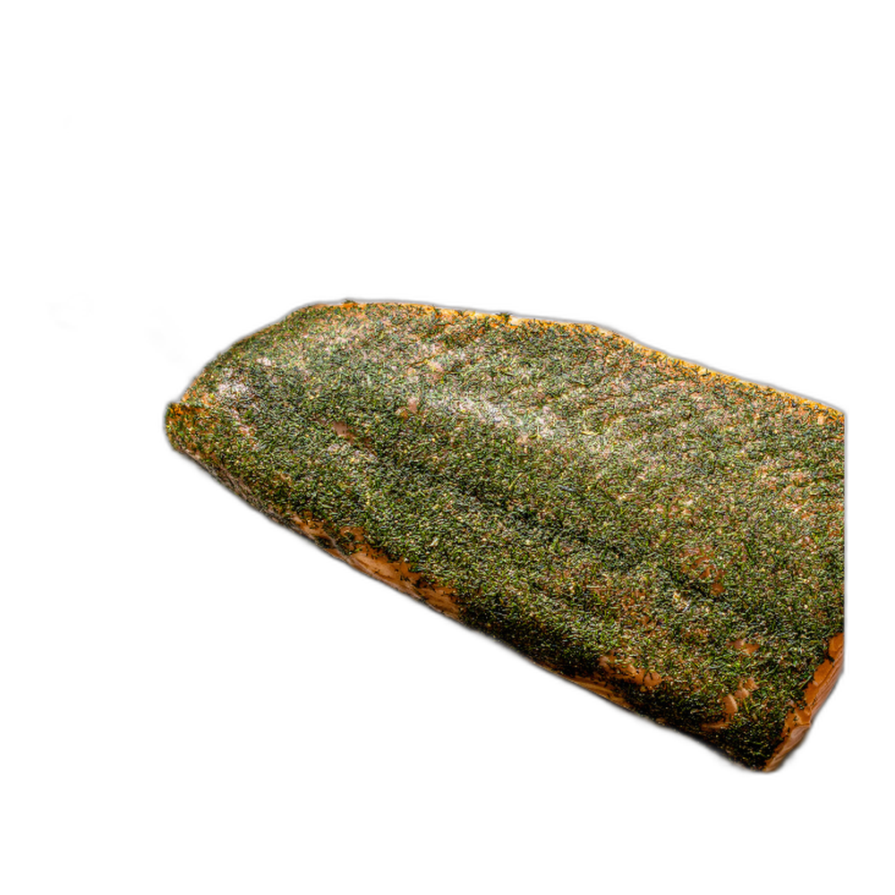 Graved Lachsfilet (500–600 g)